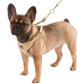 Kerbl Welpengeschirr mit Leine beige 24-44 cm/10 mm