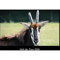 Vero Kalender Welt der Tiere 2026 Fotokalender DIN A3