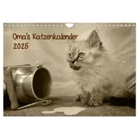 Calvendo Verlag GmbH Oma's Katzenkalender 2025 (Wandkalender 2025 DIN
