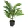 HJH Office Kunstpflanze ARECA Palme Grün
