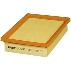 HENGST FILTER Luftfilter  für GENERAL MOTORS 96950990 E1087L