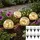 garden hero Kugelleuchte Glas 23,0 cm 8er Set warmweiß