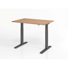 Hammerbacher XMKA12 elektrisch höhenverstellbarer Schreibtisch nussbaum rechteckig, C-Fuß-Gestell grau 120,0 x 80,0 cm