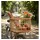 Basil Green Life Rattan L Braun