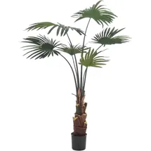 Künstliche Livistona Palme - Mera | 110 cm