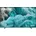 QE50Q7F 50 Vision AI Smart Q7F EU-Modell