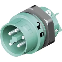 Wieland 46.052.5053.6 Rundstecker Stecker, Einbau Gesamtpolzahl: 4 + PE