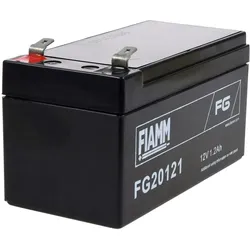 FIAMM Bleiakku FG20121
