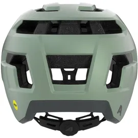 Alpina Taunus Gravel MIPS 52-56 cm Herren willow-green matt 2025