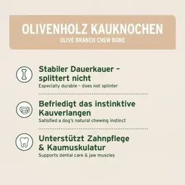 AniForte Olivenholz Kauknochen M