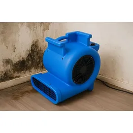 Aktobis AG Turbolüfter WDH-AB10