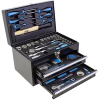 Karcher Werkzeugkasten - 117-teiliges Werkzeugset aus Chrom Vanadium & Karbonstahl mit Hammer, Schraubendreher, Steckschlüssel, Bitsatz uvm.