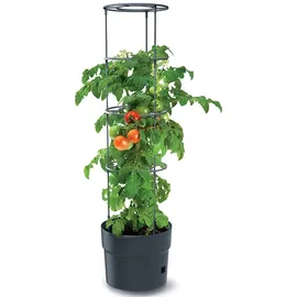 Prosperplast Tomatentopf Rankhilfe Anzuchttopf für Tomate Grower Pflanzkübel aus Kunststoff in Anthrazit (L) x 29,5 cm