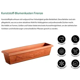 Dehner Blumenkasten Firenze 60 x 20 x 17 cm terracotta