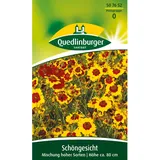 Quedlinburger Schöngesicht ''Mischung hoher Sorten''