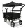 FUXTEC Fuxlife Smarter Bollerwagen FX-CT700 Schwarz