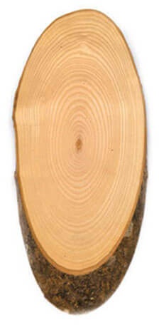 Servierbrett Esche oval 33 - 40 cm