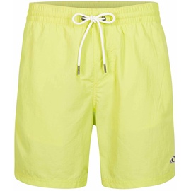 O'Neill Herren Vert Swim 16" Shorts Badehose, 12014 Sunny Lime, L/XL