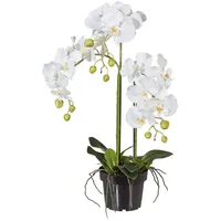 creativ-green Kunstblume Orchidee im Topf, Höhe 62 cm