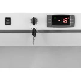 Royal Catering Gefrierschrank - 580 L - - Glastür - Silbern - Kältemittel R290