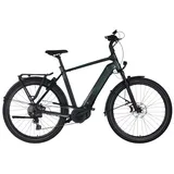 Kalkhoff Endeavour 5.B Advance+ LTD 625 Wh Herren grün 2025, 29" - 58 cm