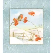 Coppenrath Verlag Wand-Adventskalender – Wintermorgen mit Rotkehlchen