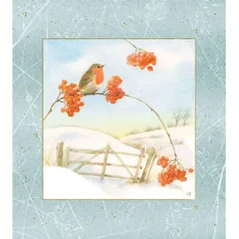Coppenrath Verlag Wand-Adventskalender – Wintermorgen mit Rotkehlchen
