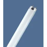 Osram Lumilux T8 L 58W/880 G13