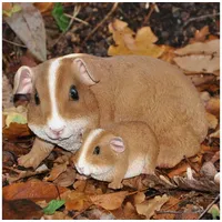 Dazikemo Meerschweinchen Mutter+Kind