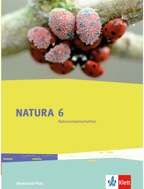 Natura, Naturwissenschaften Rheinland-Pfalz / Natura Naturwissenschaften 6. Ausgabe Rheinland-Pfalz, Gebunden
