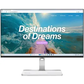 Lenovo L24D-4C 24"