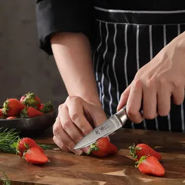 Wakoli EDIS 6er Damastmesser-Set I 8-20 cm Klinge I Pakkaholzgriffe