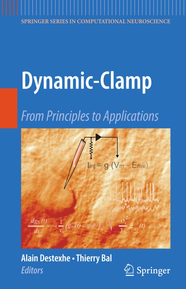 Dynamic-Clamp  Kartoniert (TB)