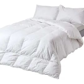 Homescapes Winterdecke, 240/220 cm, Entenfedern – Daunen