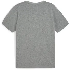 Puma teamGOAL Casuals Tee