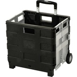 Yachticon Faltbox, Trolley, grau/schwarz