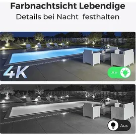 Reolink Duo Series P730 4K Schwarz