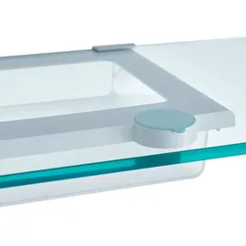 Joseph Joseph FridgeStore Unterregal-Schublade 31,3 x 7,8 cm 1-tlg. transparent