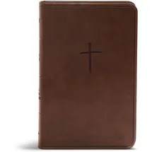 Holman Bibles Holy Bible, Christian Standard Bible Brown LeatherTouch, Value Edition,
