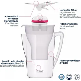 BWT AQUAlizer Home Weiß 1 Stück