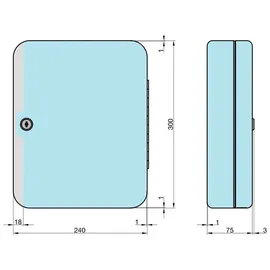 BASI Schlüsselkassette SK 50 30 Haken Grau