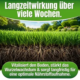 düngemeister Rasendünger BIO 10,1 kg