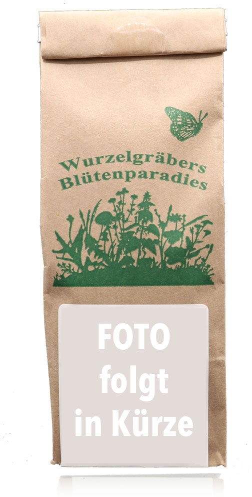 Flohsamen – kbA bio – ganz  (0.25kg)