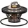 FEBI BILSTEIN Thermostat, Kühlmittel 17350