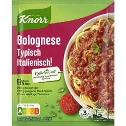 Knorr Fix Bolognese Typisch Italienisch! 42G