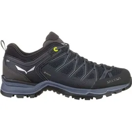 Salewa Mountain Trainer Lite GTX black 42