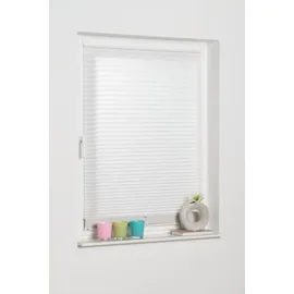 K-HOME Doppelplissee Prato 60 x 130 cm weiß