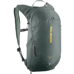SALOMON Kleintasche TRAILBLAZER 10 Urban, Urban Chic/GREEN MILIEU/, ONE SIZE