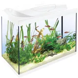 Tetra Starter Line LED Aquarium 80L weiß