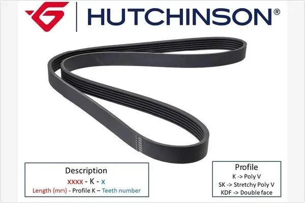 HUTCHINSON Keilrippenriemen 1640k6 für Ford Volvo Subaru BMW Citroën JAGUAR Mercedes MITSUBISHI RENAULT TOYOTA VW HYUNDAI TRUCKS